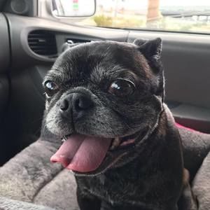 Meet your Posher, Brian